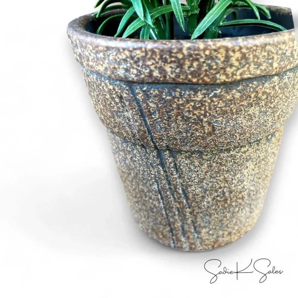 Small Pine Leaf Potted Arrangement - Threshold Studio McGee, Target 2022